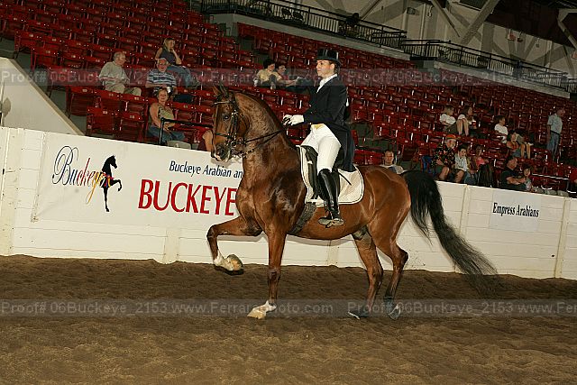 Proof 06buckeye_2153