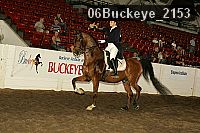 06buckeye_2153 proof