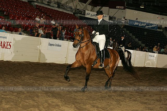 Proof 06buckeye_2154