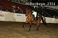 06buckeye_2154 proof