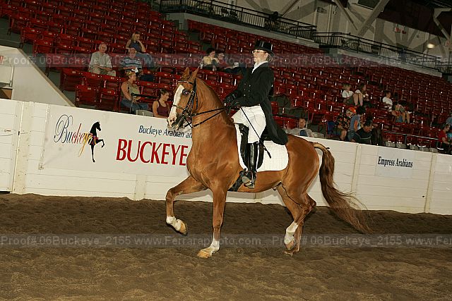 Proof 06buckeye_2155