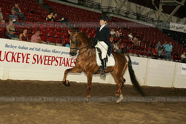 Proof 06buckeye_2156