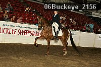 06buckeye_2156 proof