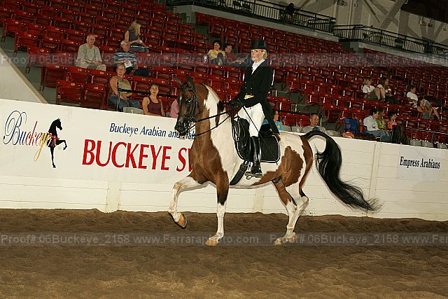Proof 06buckeye_2158