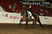 06buckeye_2159 proof
