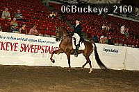 06buckeye_2160 proof