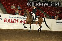 06buckeye_2161 proof