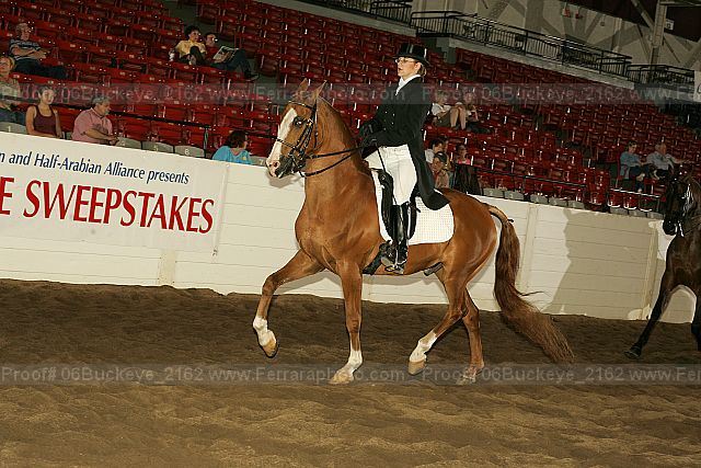 Proof 06buckeye_2162