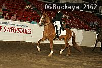 06buckeye_2162 proof