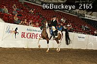 06buckeye_2165 proof