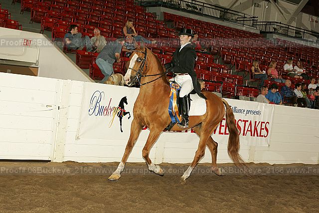 Proof 06buckeye_2166