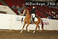 06buckeye_2166 proof