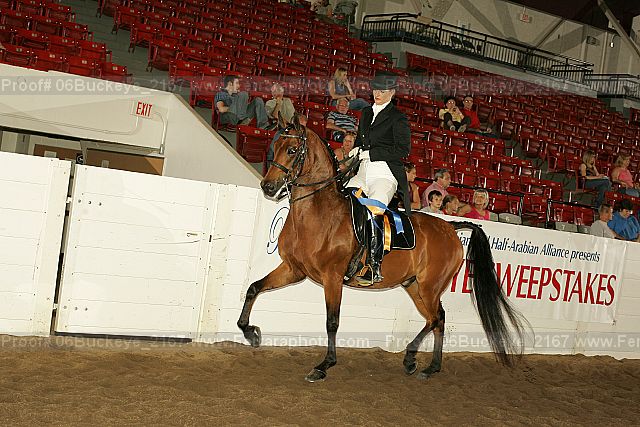 Proof 06buckeye_2167