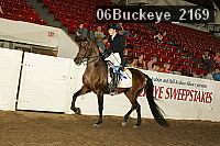 06buckeye_2169 proof