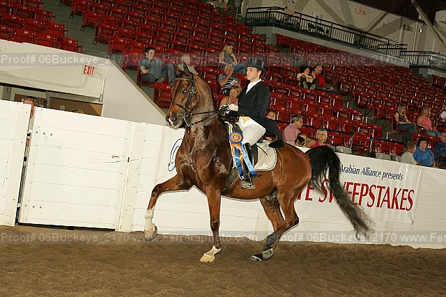 Proof 06buckeye_2170