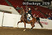06buckeye_2170 proof