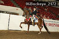 06buckeye_2172 proof
