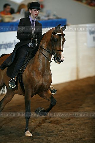 Proof 06buckeye_2180