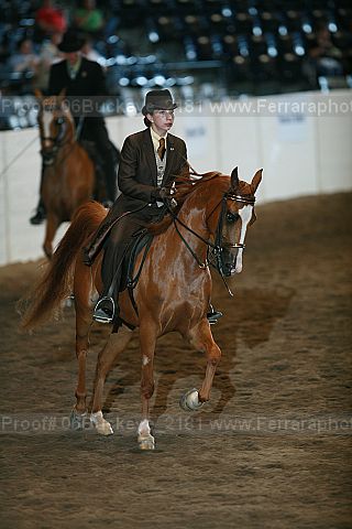 Proof 06buckeye_2181