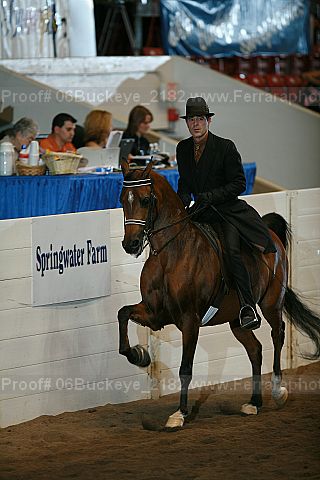 Proof 06buckeye_2182