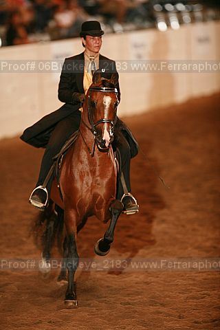 Proof 06buckeye_2183