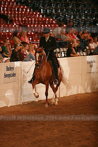 Proof 06buckeye_2184
