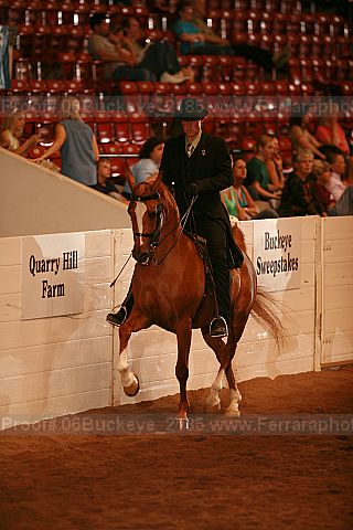 Proof 06buckeye_2185
