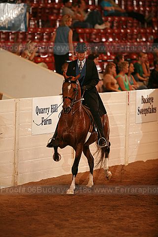 Proof 06buckeye_2186