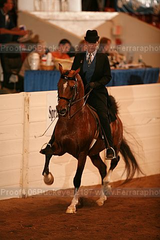 Proof 06buckeye_2187