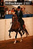 06buckeye_2187 proof