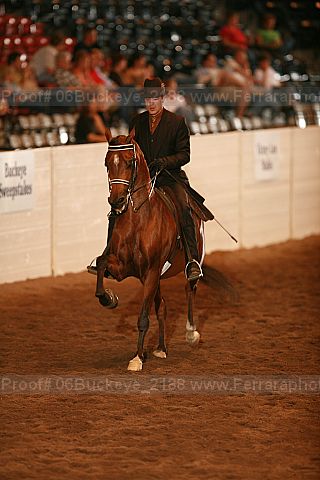 Proof 06buckeye_2188