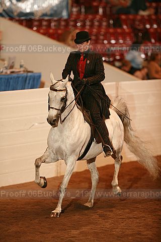 Proof 06buckeye_2190