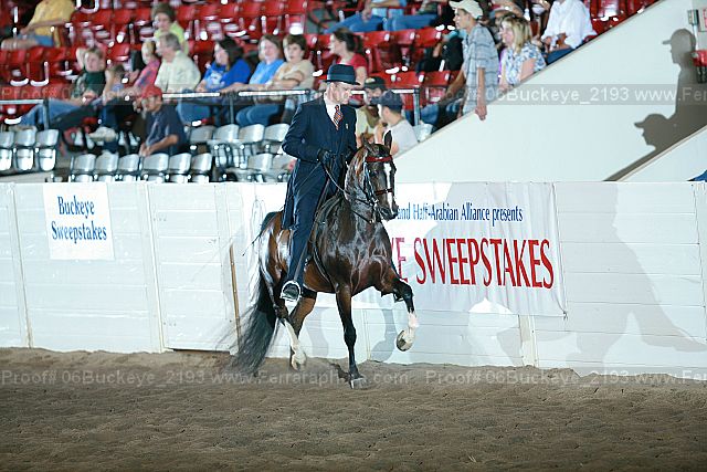 Proof 06buckeye_2193