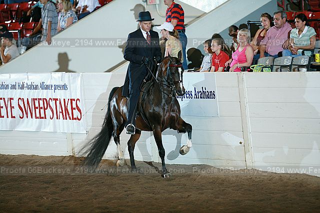 Proof 06buckeye_2194