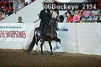 06buckeye_2194 proof