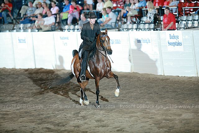 Proof 06buckeye_2195