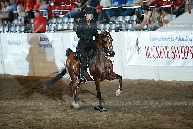 Proof 06buckeye_2196