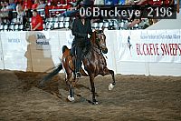 06buckeye_2196 proof