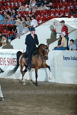 Proof 06buckeye_2204