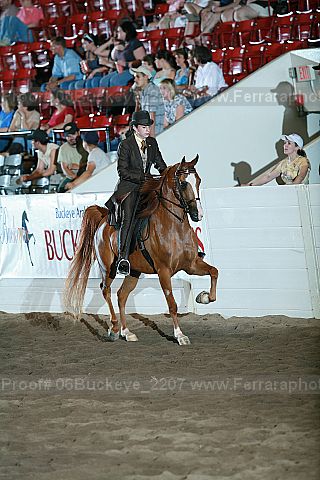 Proof 06buckeye_2207