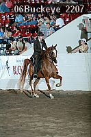 06buckeye_2207 proof