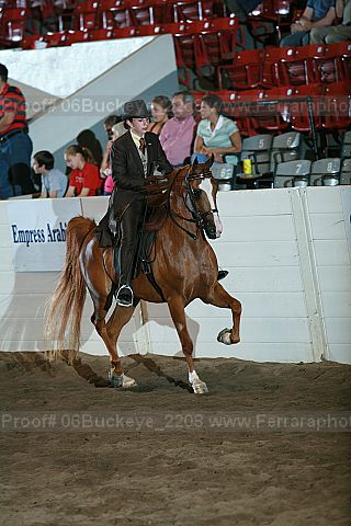 Proof 06buckeye_2208