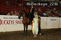 06buckeye_2216 proof