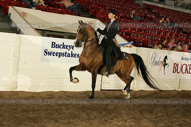 Proof 06buckeye_2218