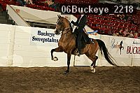06buckeye_2218 proof