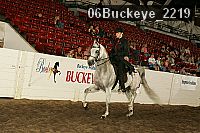 06buckeye_2219 proof