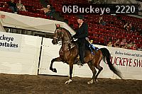 06buckeye_2220 proof