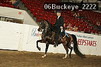 06buckeye_2222 proof