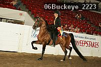 06buckeye_2223 proof