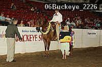 06buckeye_2226 proof